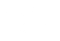 NALT (N-Acetyl L-Tyrosine)